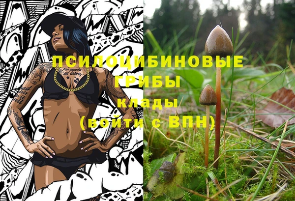 гашишное масло Абаза