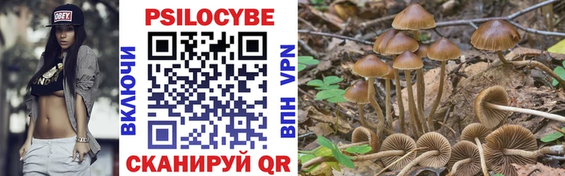 Псилоцибиновые грибы Magic Shrooms гидра ССЫЛКА Урус-Мартан наркошоп