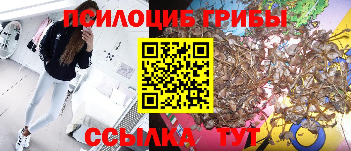 Псилоцибиновые грибы Psilocybine cubensis  Вход с VPN  Псилоцибиновые грибы MAGIC MUSHROOMS  Урус-Мартан 